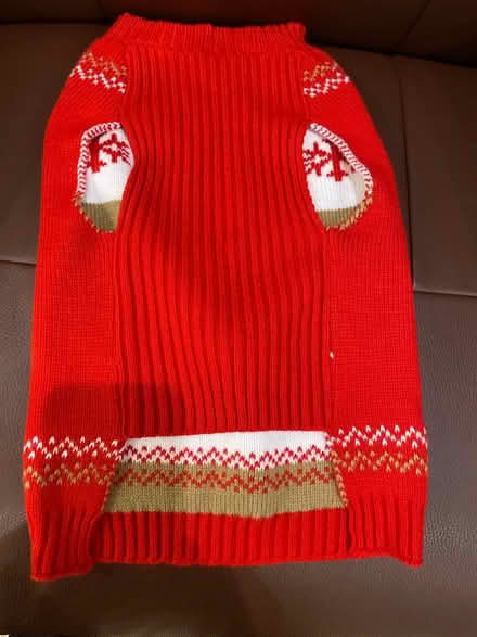 Photo of free Christmas dog sweater (Cupertino) #2