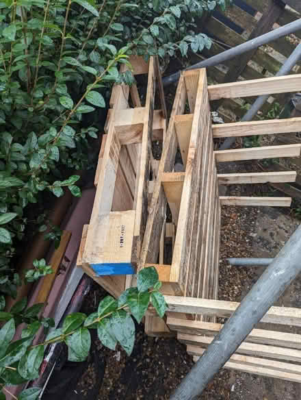 Photo of free Palette X2 pine (Bruce Grove N17) #1