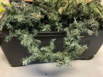 Photo of free Reusable Holiday Garland (Presidio) #1