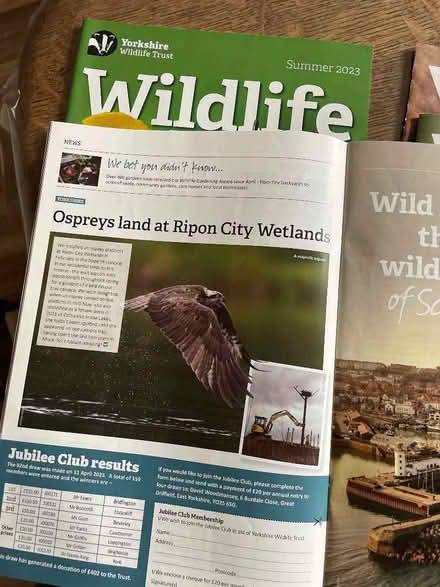 Photo of free Children’s wildlife magazines (Starbeck HG2) #3