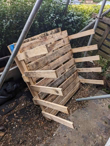 Photo of free Palette X2 pine (Bruce Grove N17) #3