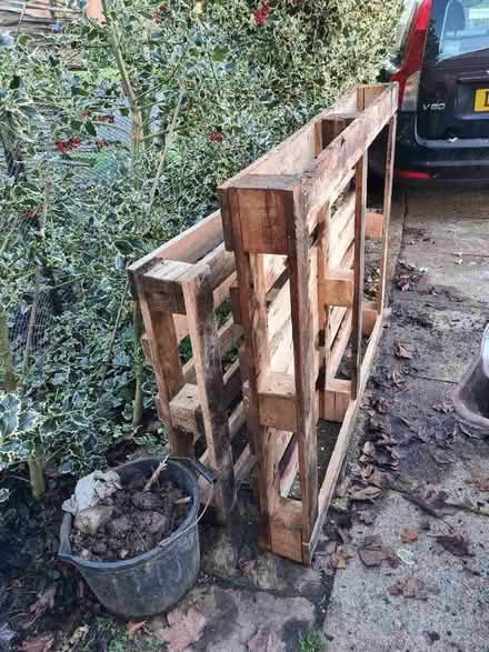 Photo of free Wooden pallets (Northfield B31) #1
