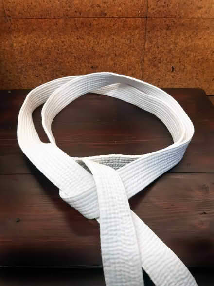 Photo of free White Gi belt (Judo, Jiu Jitsu, Karate) plain cotton 247cm (Sprowston NR3) #2