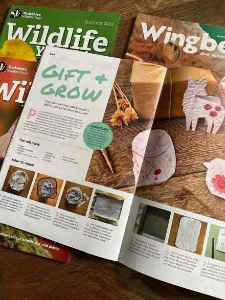 Photo of free Children’s wildlife magazines (Starbeck HG2) #4