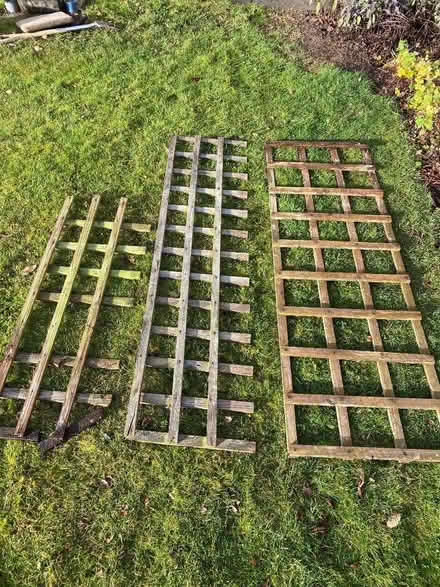 Photo of free Trellis (Berkhamsted HP4) #1