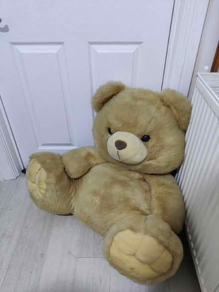 Photo of free Large teddy bear (Church RG2) #1