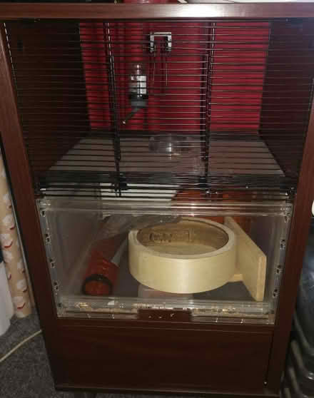 Photo of free Home for Hamster / Rats (TW8) #1
