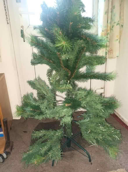 Photo of free Old xmas tree (WD5) #1