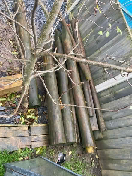 Photo of free Fence post logs (Chobham) #1