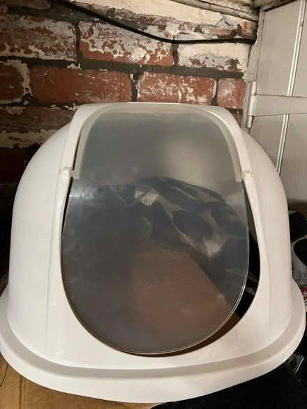 Photo of free Lid off cat litter tray (Bootle) #1