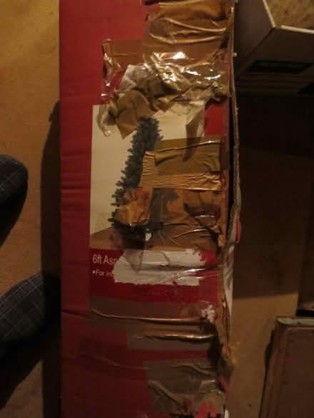 Photo of free Christmas Tree (Forth ML11) #3