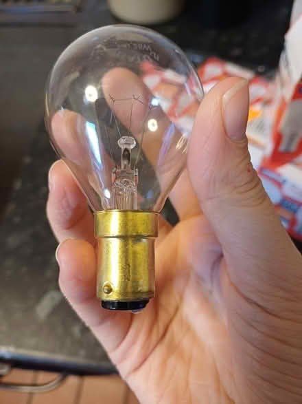 Photo of free Small light bulbs (New Town CO1) #3