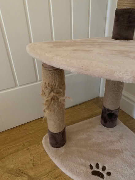 Photo of free Cat play tower (Heybridge CM9) #3