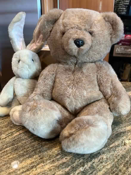 Photo of free Bear and Bunny Duo (Capitol Hill NE (20002)) #1