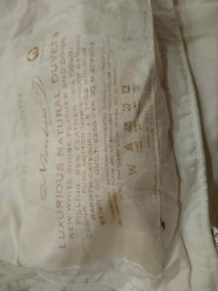 Photo of free two clean lightweight single duvets . (North Hinksey OX2) #3