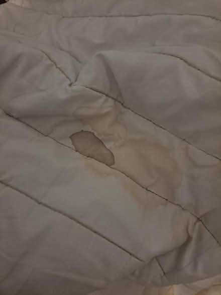 Photo of free Bedding- duvet pillow mattress top (East Dulwich SE22) #1