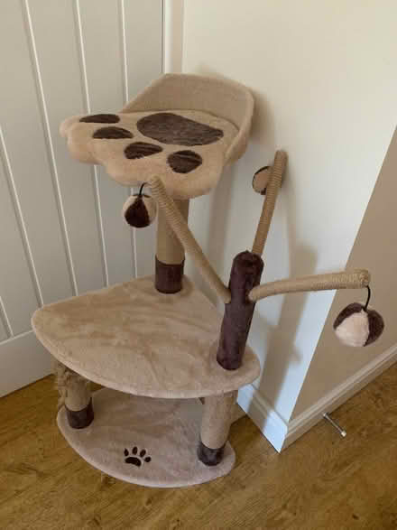 Photo of free Cat play tower (Heybridge CM9) #2