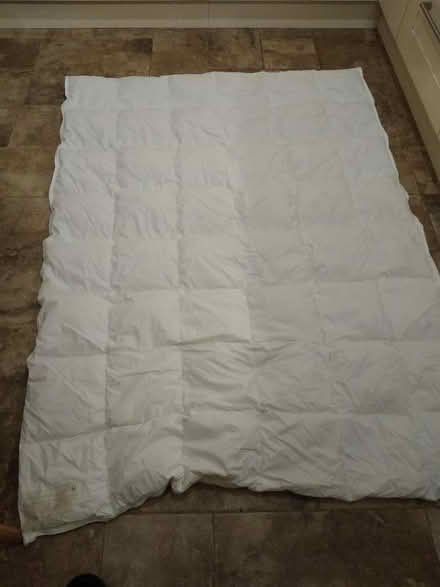 Photo of free two clean lightweight single duvets . (North Hinksey OX2) #1