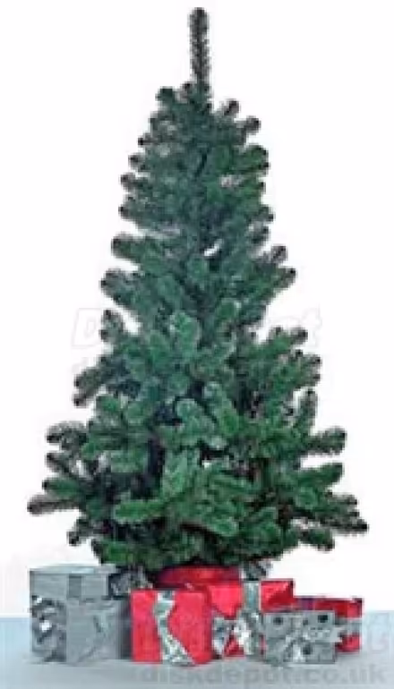 Photo of free Christmas Tree (Forth ML11) #1