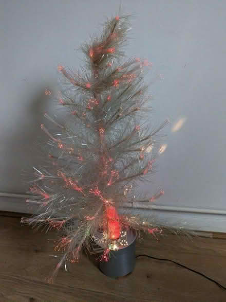 Photo of free Fibre Optic Tree (NN8 Wellingborought) #2