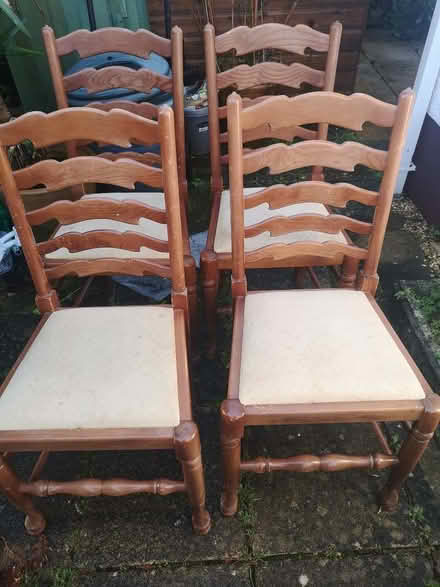 Photo of free Dining Chairs (Lyndhurst SO43) #1