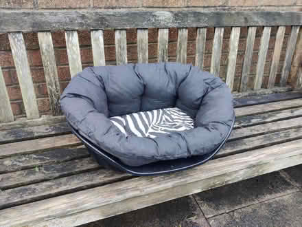 Photo of free Small zebra print dog/cat bed (Ramsbottom) #1