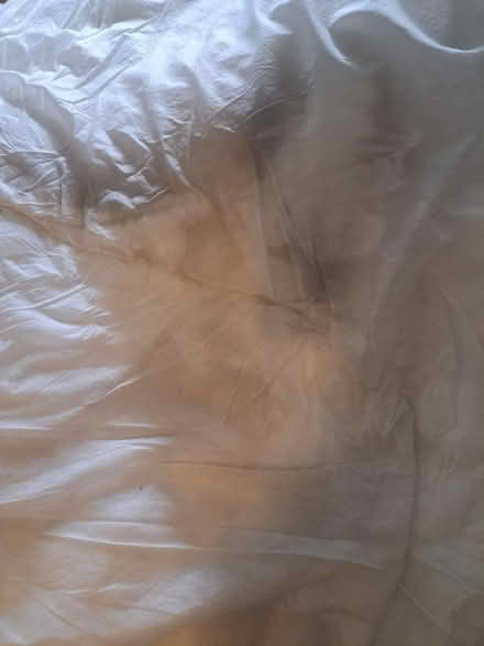 Photo of free Bedding- duvet pillow mattress top (East Dulwich SE22) #3