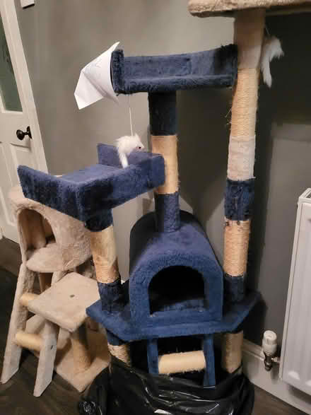 Photo of free Cat trees/towers (Hucknall NG15) #1