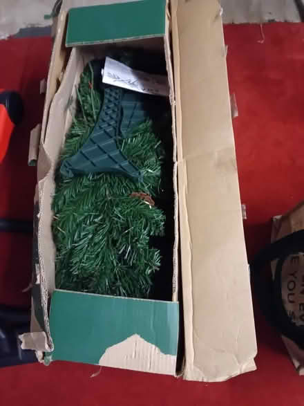 Photo of free Christmas Tree (Royal Wootton Bassett SN4) #1