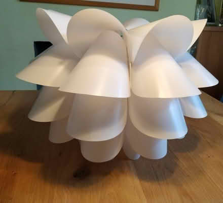 Photo of free Lampshade (West Cross SA3) #1