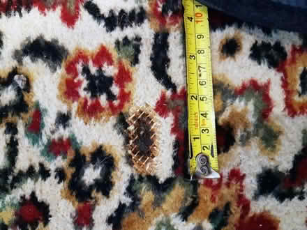 Photo of free Axmor Axminster large rug, multi-coloured wool/nylon, fair (Sprowston NR3) #4
