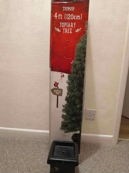 Photo of free Christmas tree (Wolverley DY11) #1
