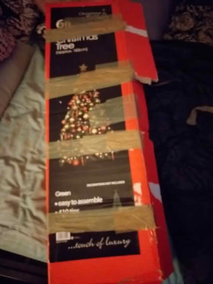 Photo of free Christmas trees (PR4 5) #1
