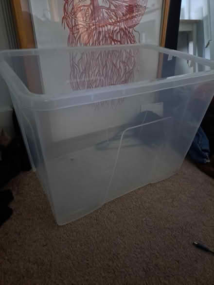 Photo of free Boxes (East Dulwich SE22) #3
