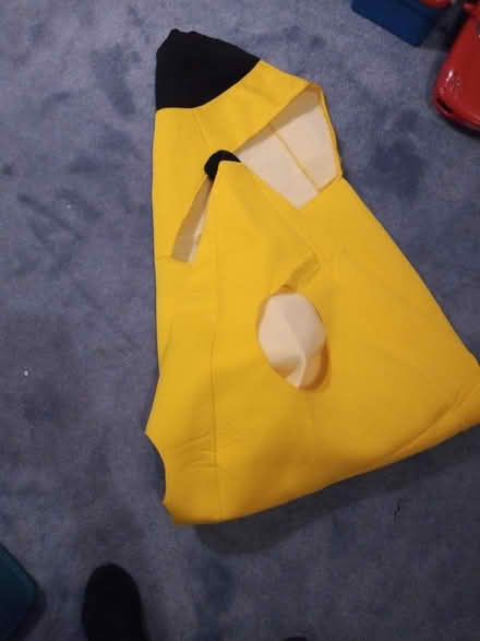 Photo of free Adult size banana costume (Didcot OX11) #1