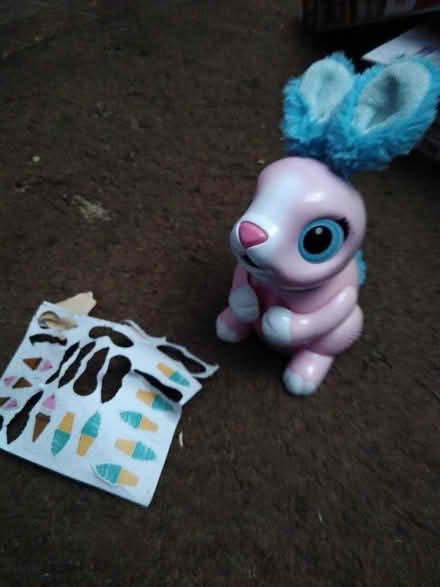 Photo of free Rabbit (Fishponds BS16) #1