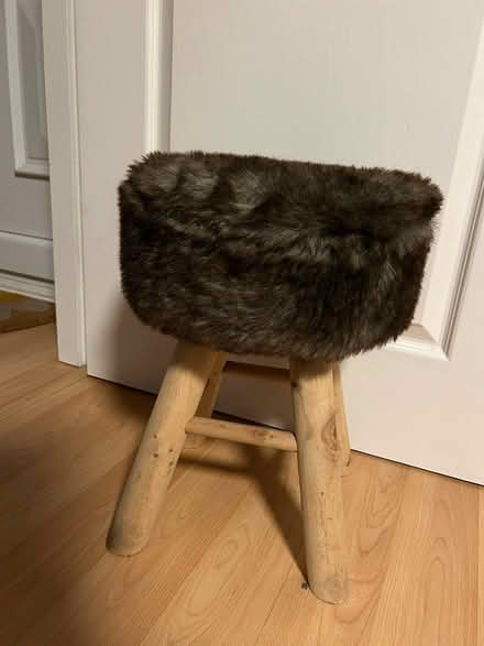 Photo of free Fur stool (Eccles, M30) #1