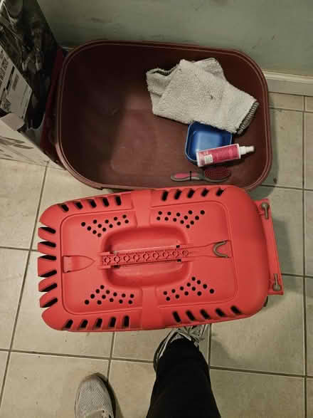 Photo of free Cat items (Longwood, Bronx) #1