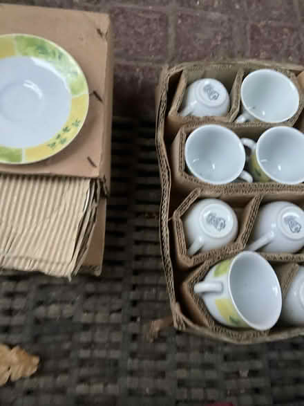 Photo of free Cup ad sorcers (Camberley) #2