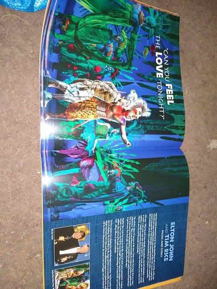 Photo of free Lion king show program (Fishponds BS16) #2