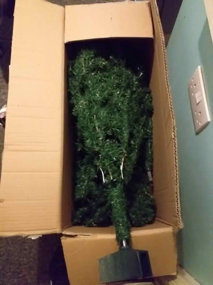 Photo of free Christmas trees (PR4 5) #2