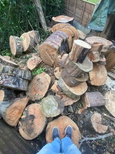 Photo of free Wood for burning (needs seasoning) (M41) #1