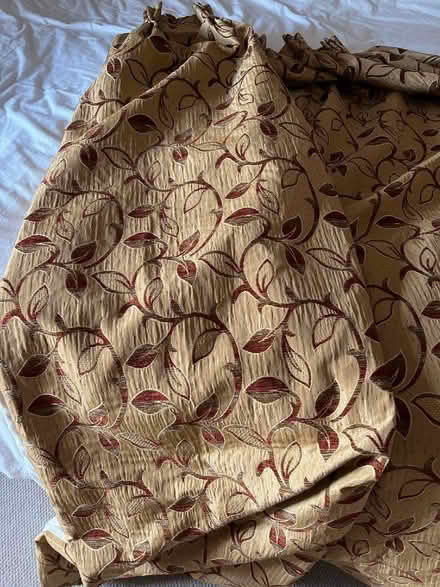 Photo of free Pair of long curtains (Morland CA10) #1