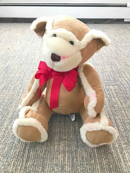 Photo of free Very cute soft bear (Saugus) #1