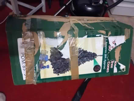 Photo of free Christmas Tree (Royal Wootton Bassett SN4) #2