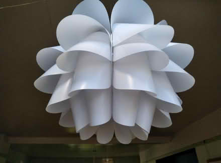Photo of free Lampshade (West Cross SA3) #2