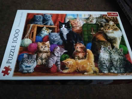 Photo of free Jigsaw (Fishponds BS16) #1