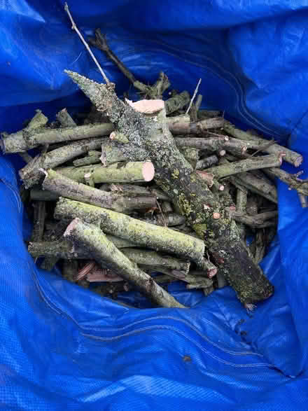 Photo of free Tree branches (LE3) #1
