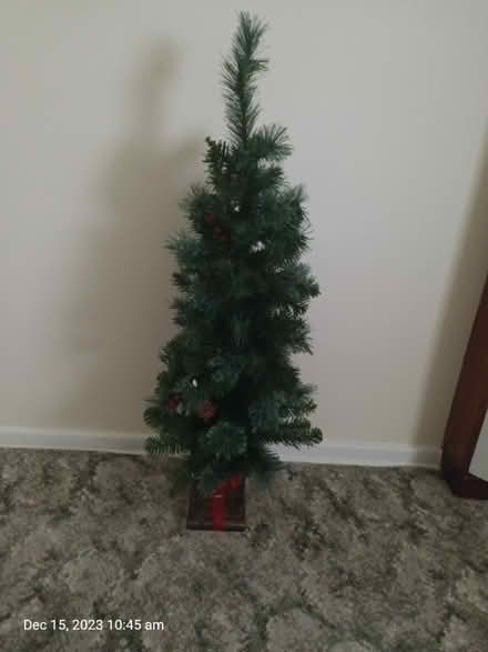 Photo of free christmas tree (Old Normanton Derby) #1