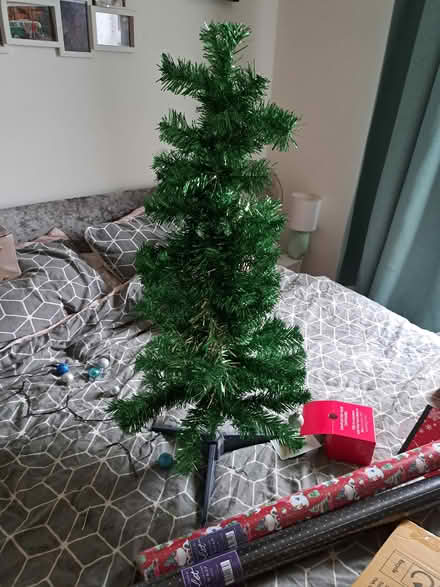Photo of free Small Xmas tree (Ilkeston Town centre) #1